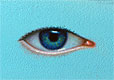 Auge