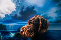 wolken