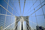 Brooklyn
