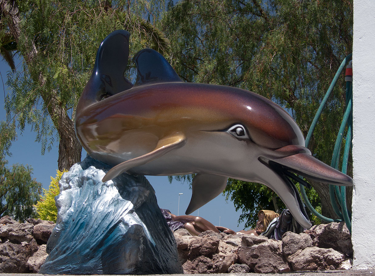 Delfin