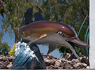 delfin