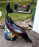 delfin-lady