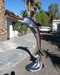Delfin 1