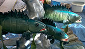 Piranhas