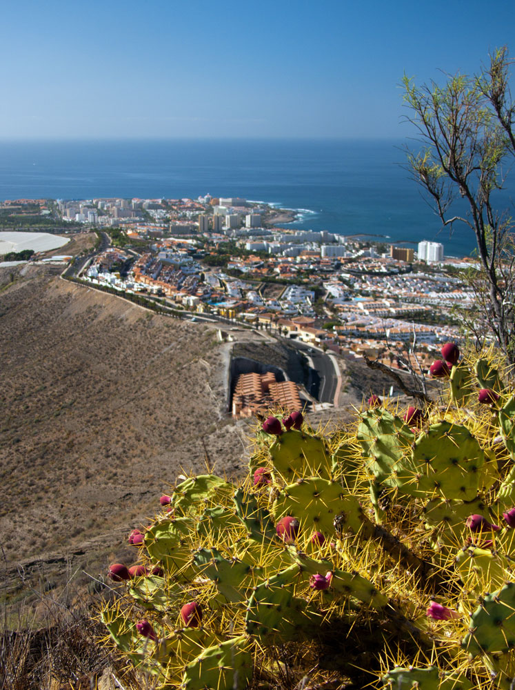 Las Americas