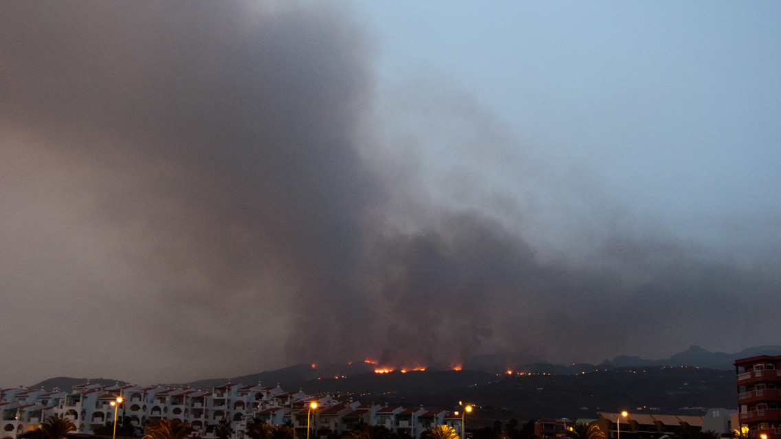 waldbrand 3