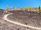 Teide 3D