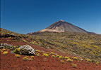 Teide 24