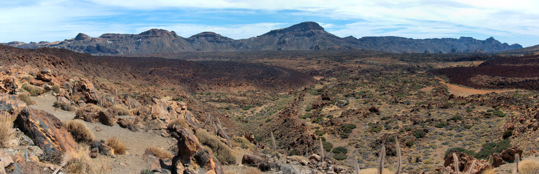 Teide back
